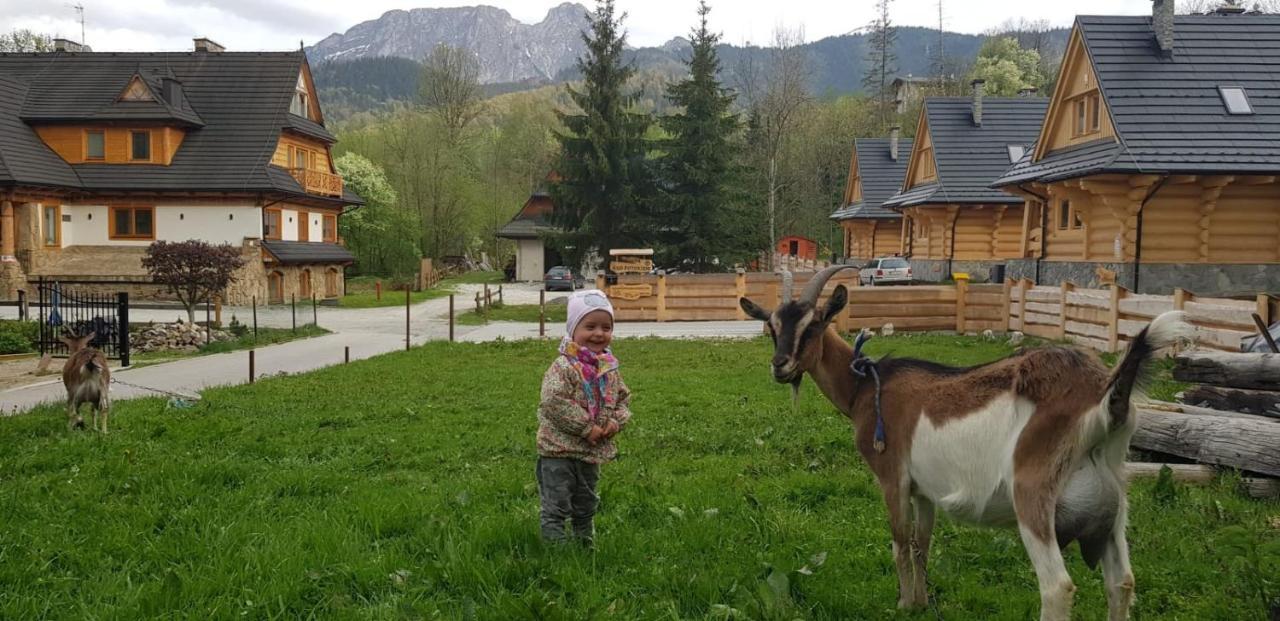 Karpielowka Przy Potoku Koscielisko